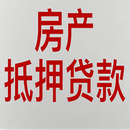 闵行贷款公司新渝启服推荐选择